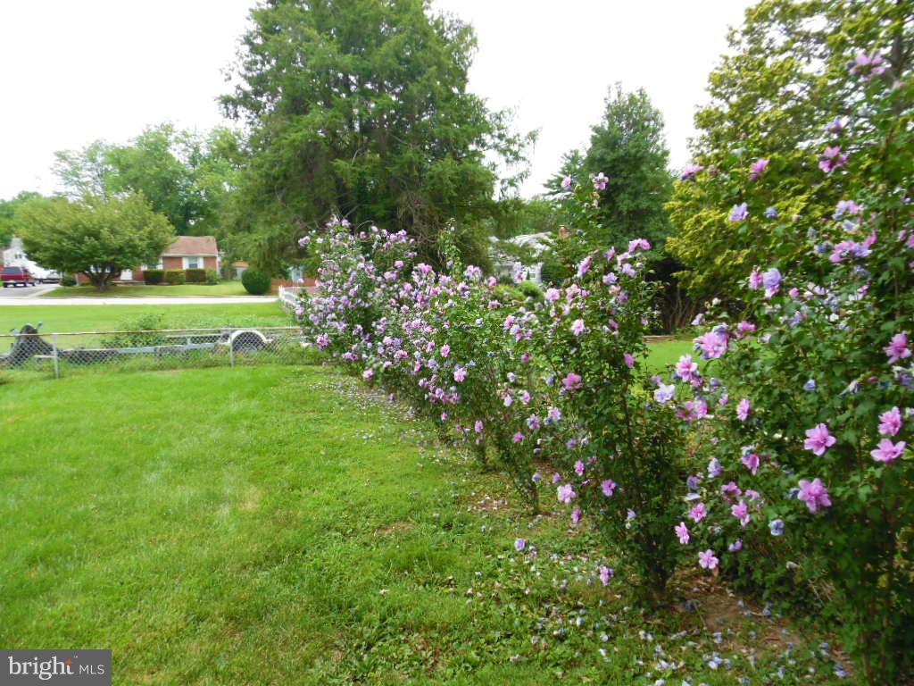 LINTHICUM HEIGHTS ANNEX - Residential