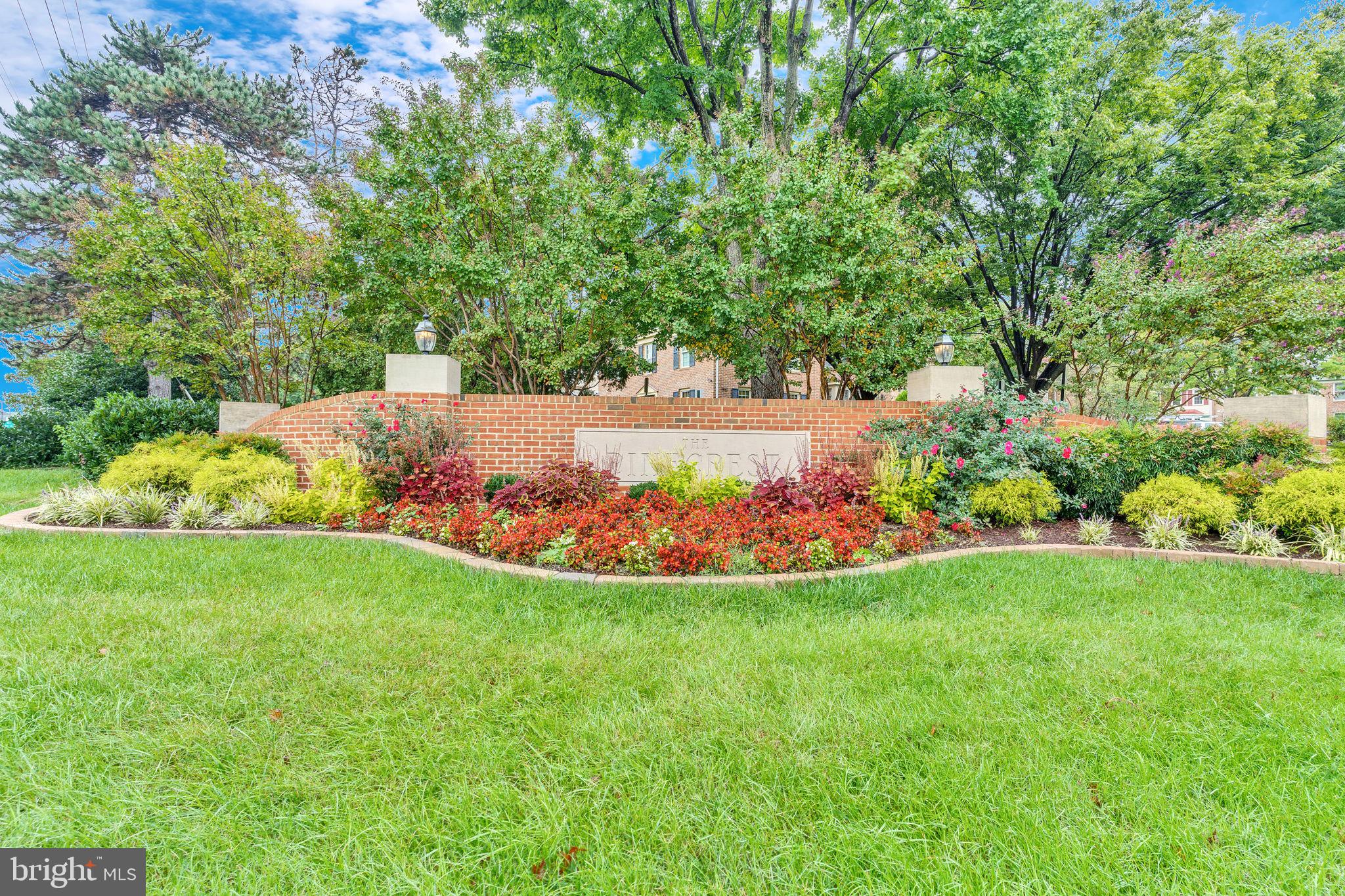 CARR AT PINECREST - Residential