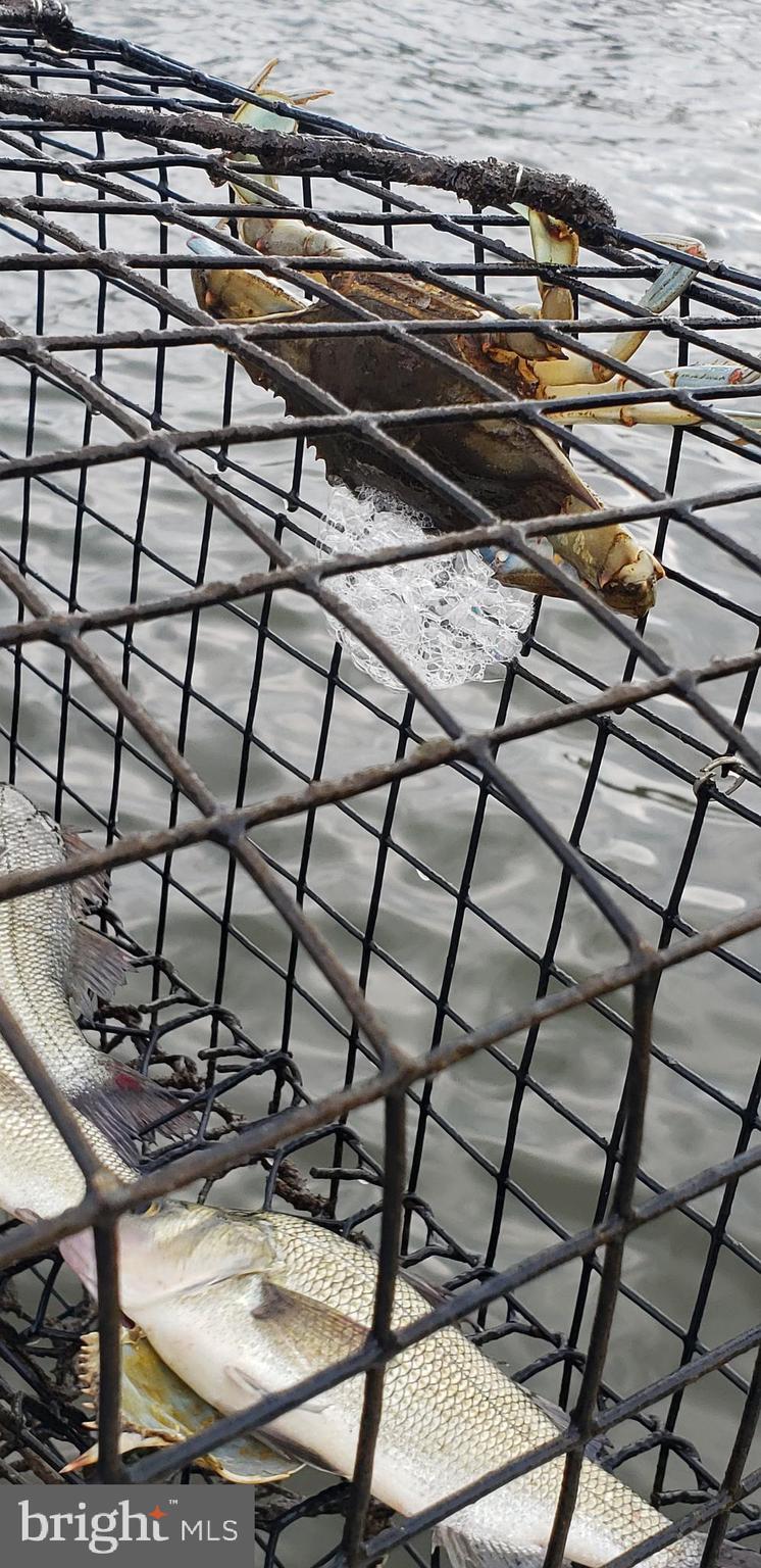 CHESTER RIVER BEACH - Residential