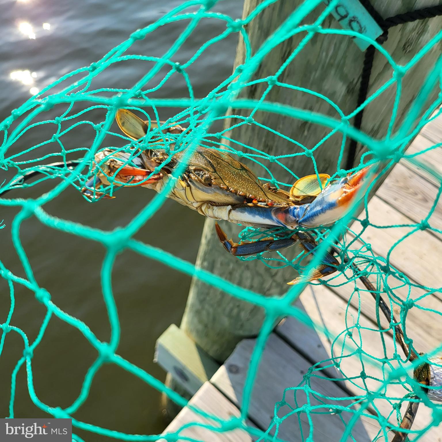 CHESTER RIVER BEACH - Residential