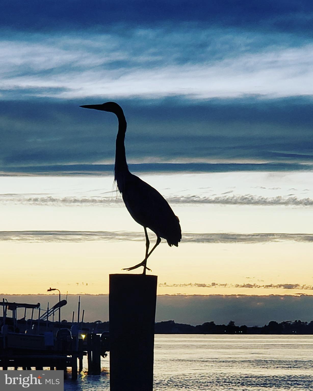 CHESTER RIVER BEACH - Residential