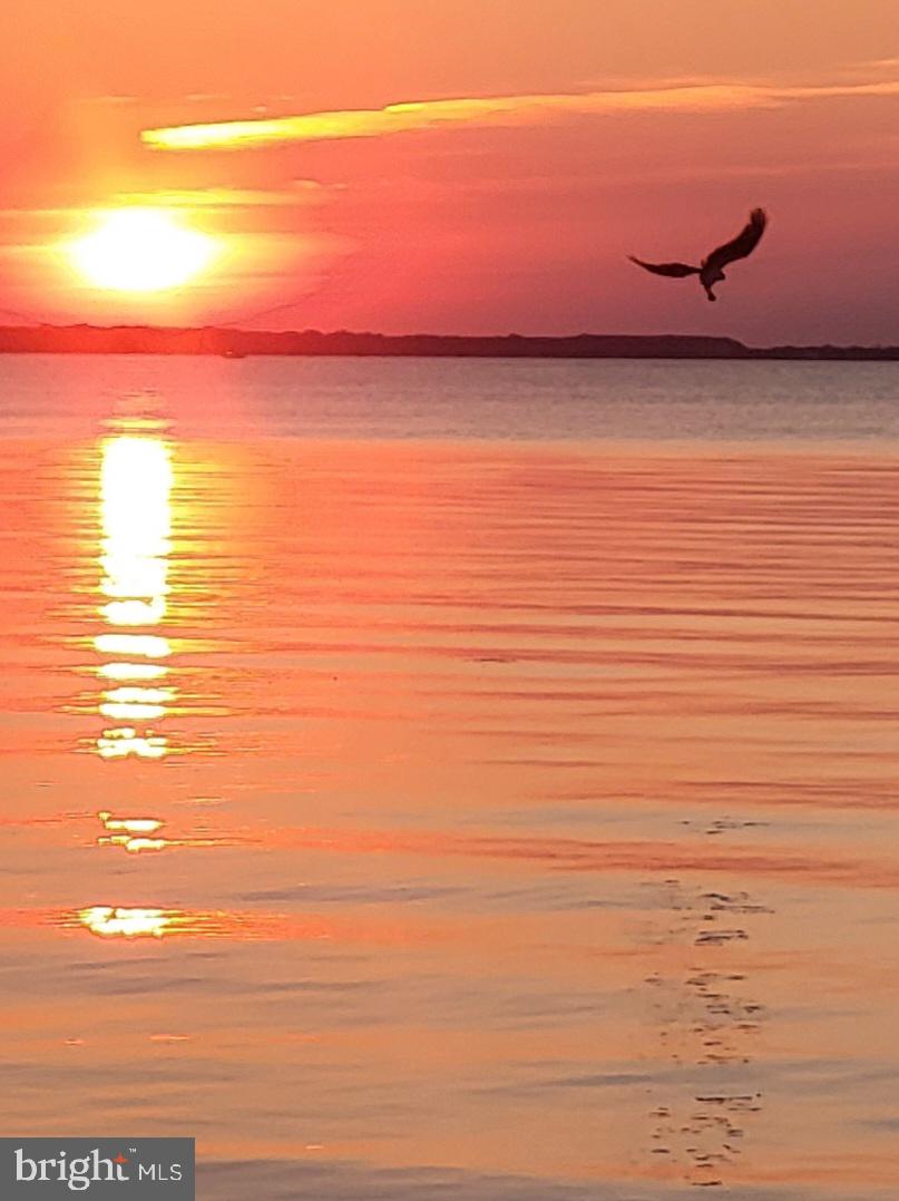 CHESTER RIVER BEACH - Residential