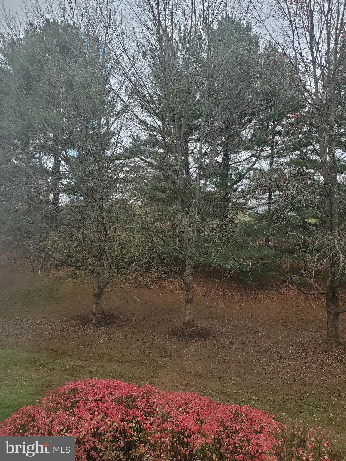 BRANDYWINE STATION - Residential