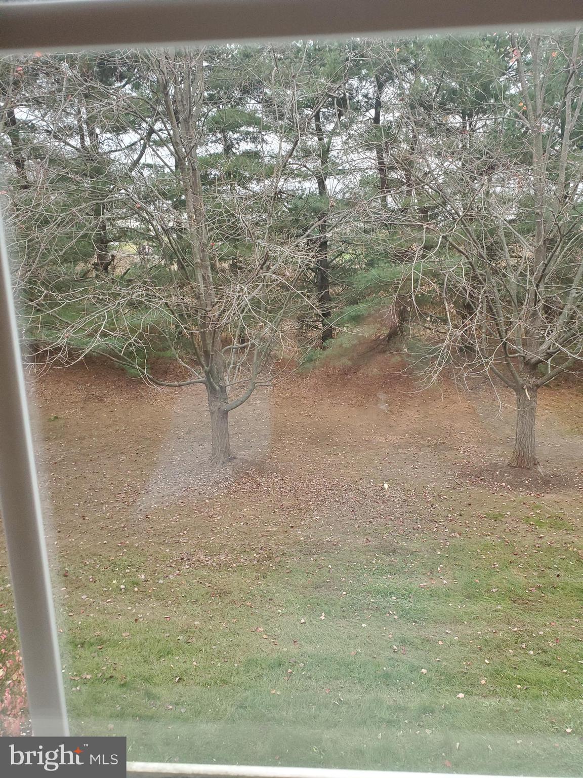 BRANDYWINE STATION - Residential