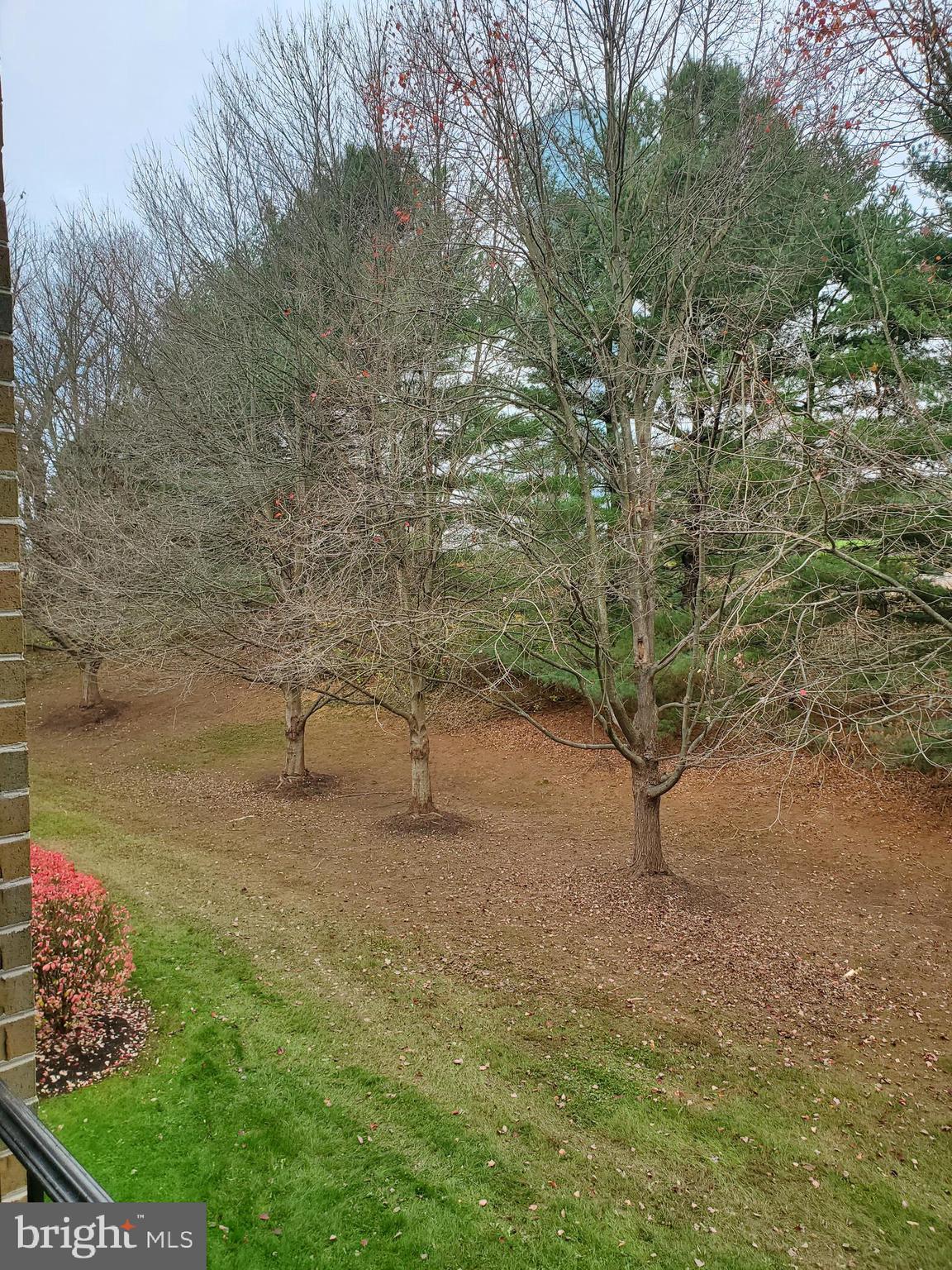 BRANDYWINE STATION - Residential