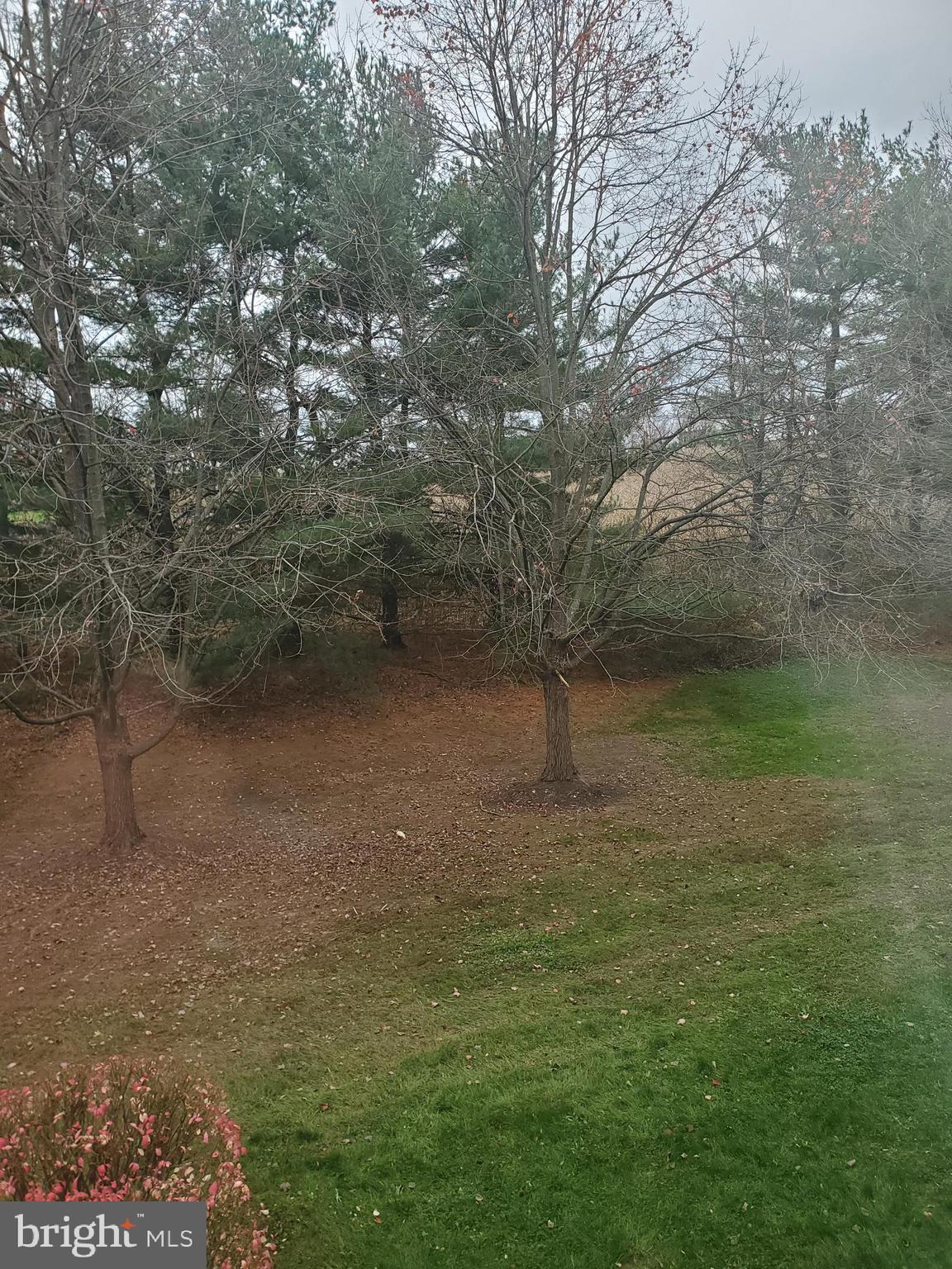 BRANDYWINE STATION - Residential