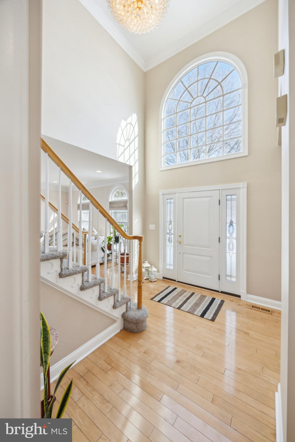 ROSE TREE ESTS - Residential