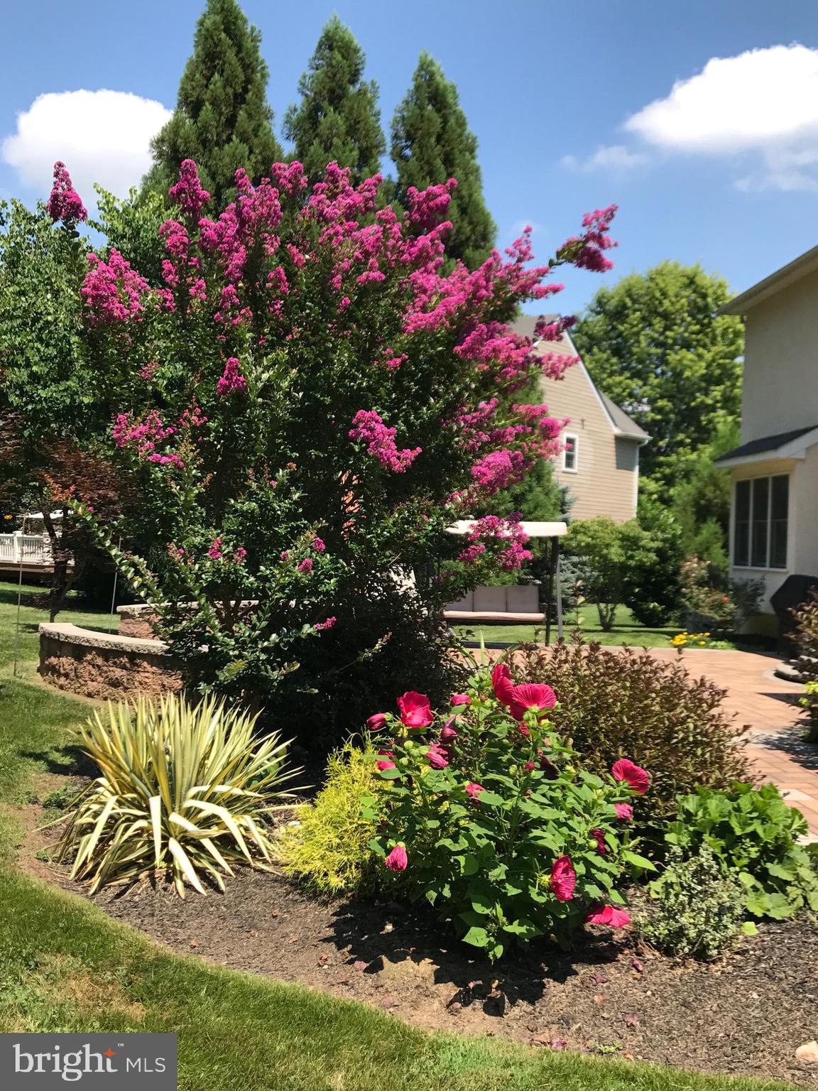 ROSE TREE ESTS - Residential