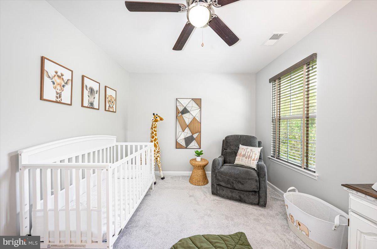 HOLLY RIDGE - Residential