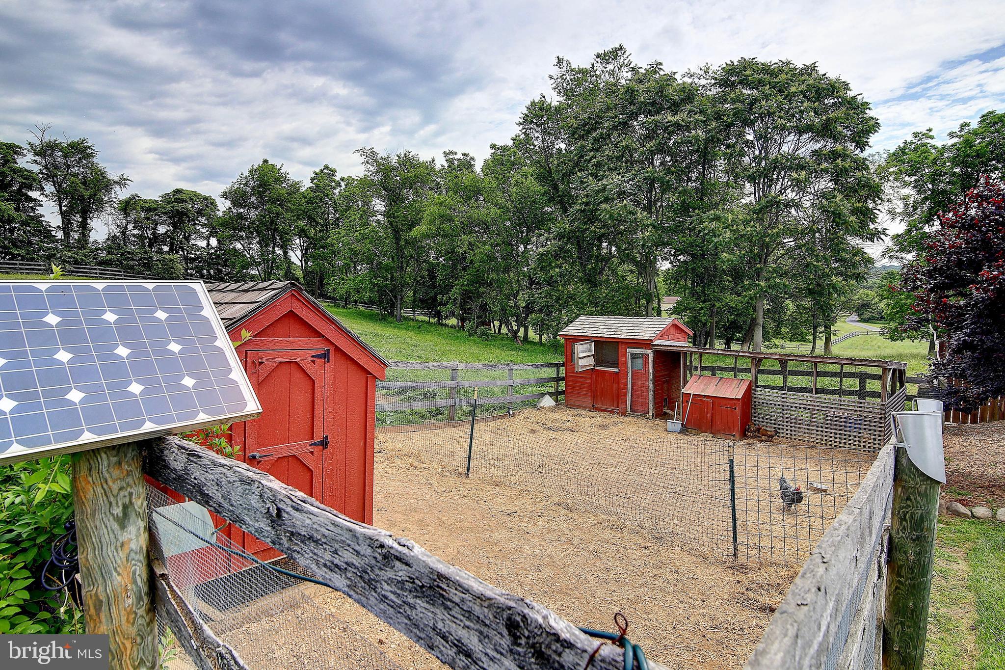 NONE AVAILABLE - Farm