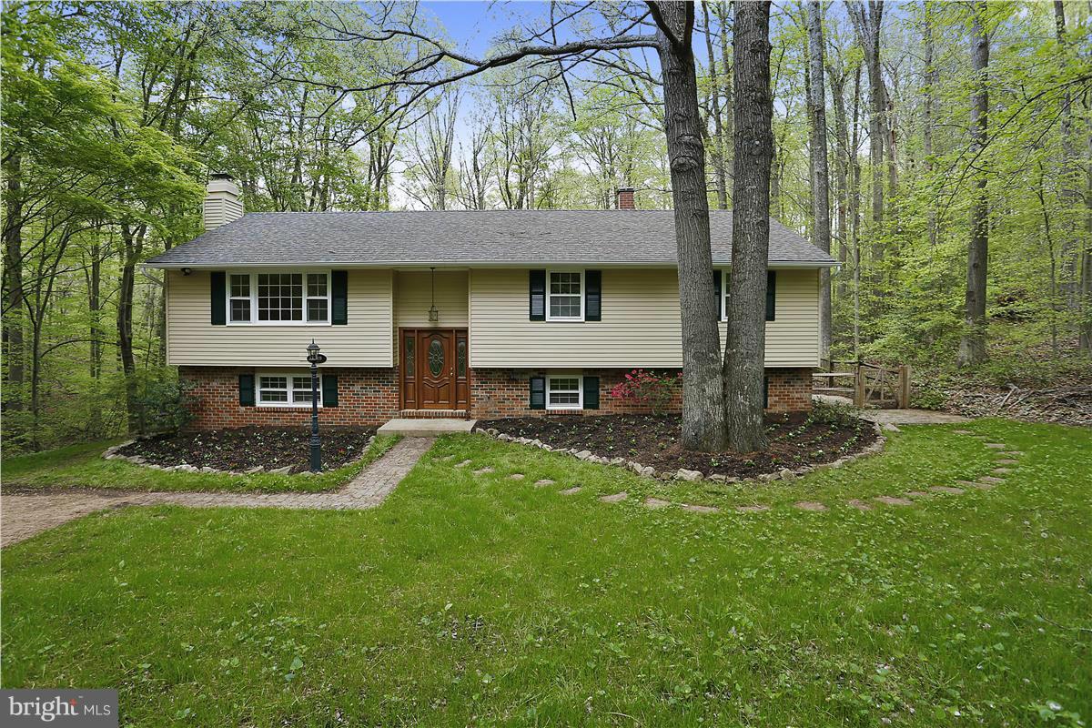 CHESTNUT RIDGE - Residential