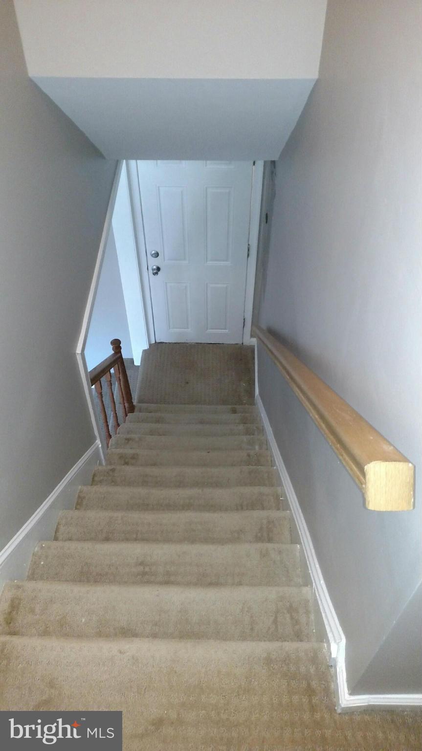 MT ZEPHYR - Residential Lease