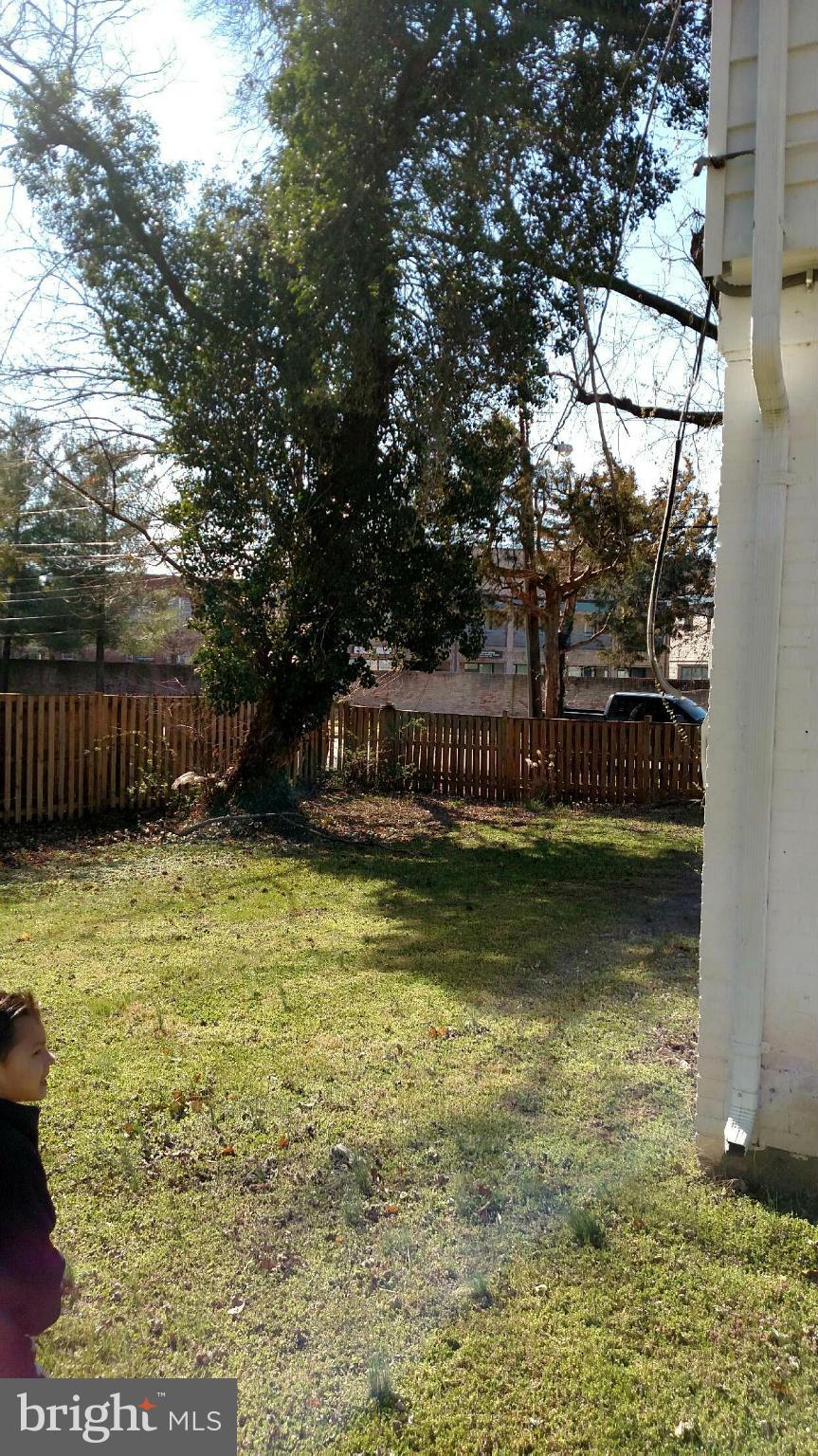 MT ZEPHYR - Residential Lease