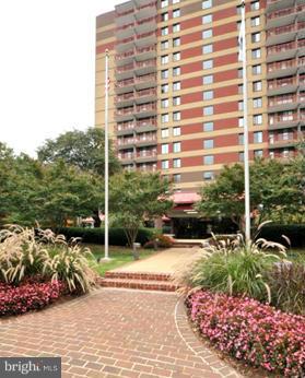 PORT ROYAL - Residential Lease