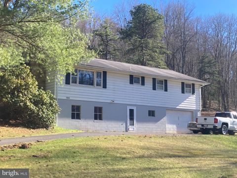 2594 SWANTON ROAD SWANTON MD 21561