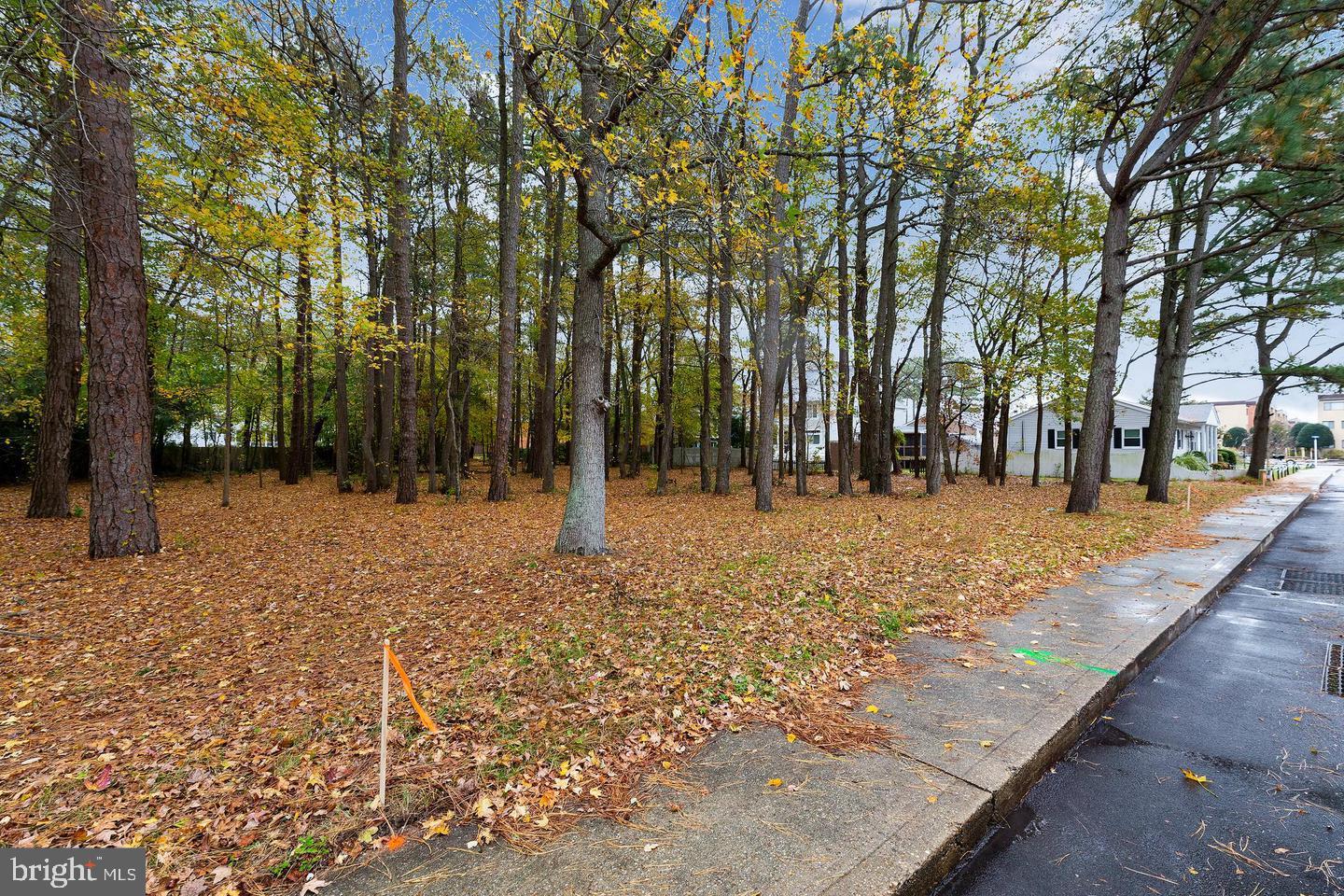14102 TUNNEL AVENUE B