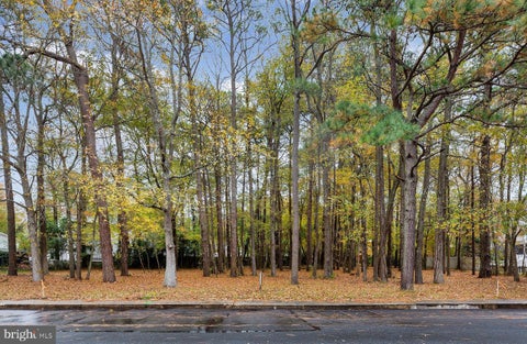 Vacant Land For Sale - 14102 Tunnel Avenue<br/> OCEAN CITY, MD 21842