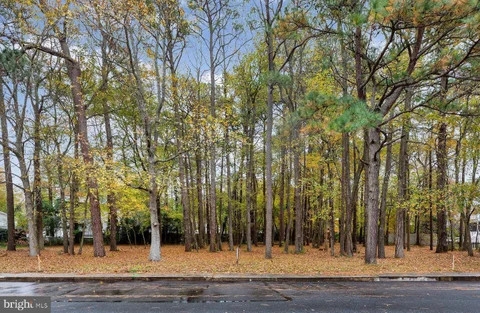 MLS: MDWO2041892