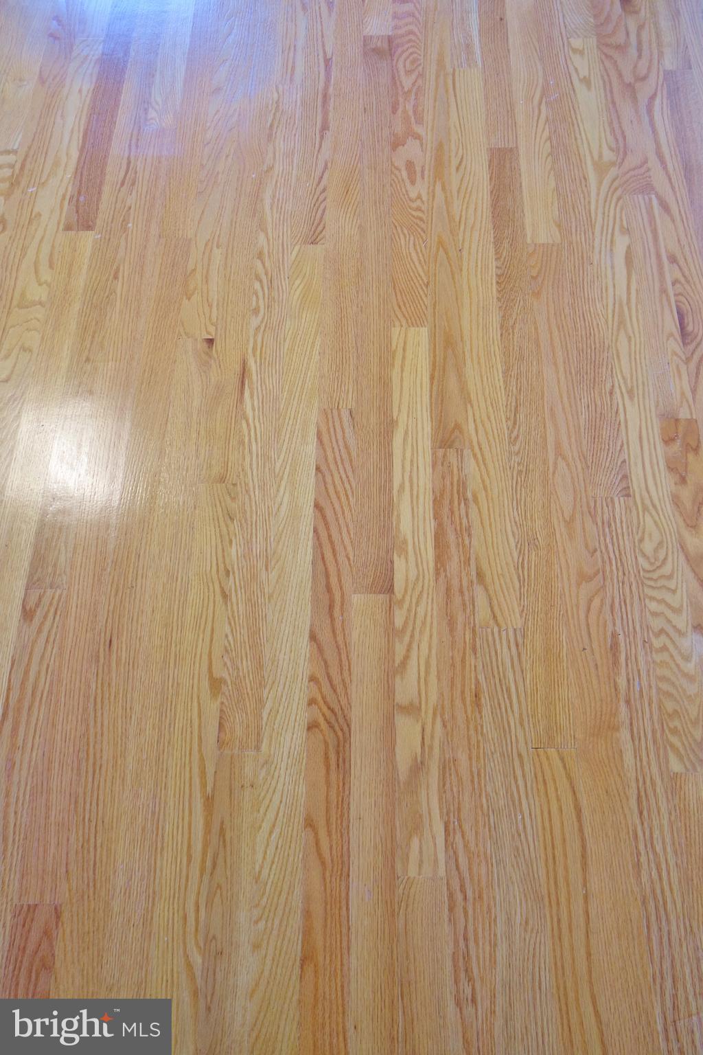 SHENWOOD EAST - Residential