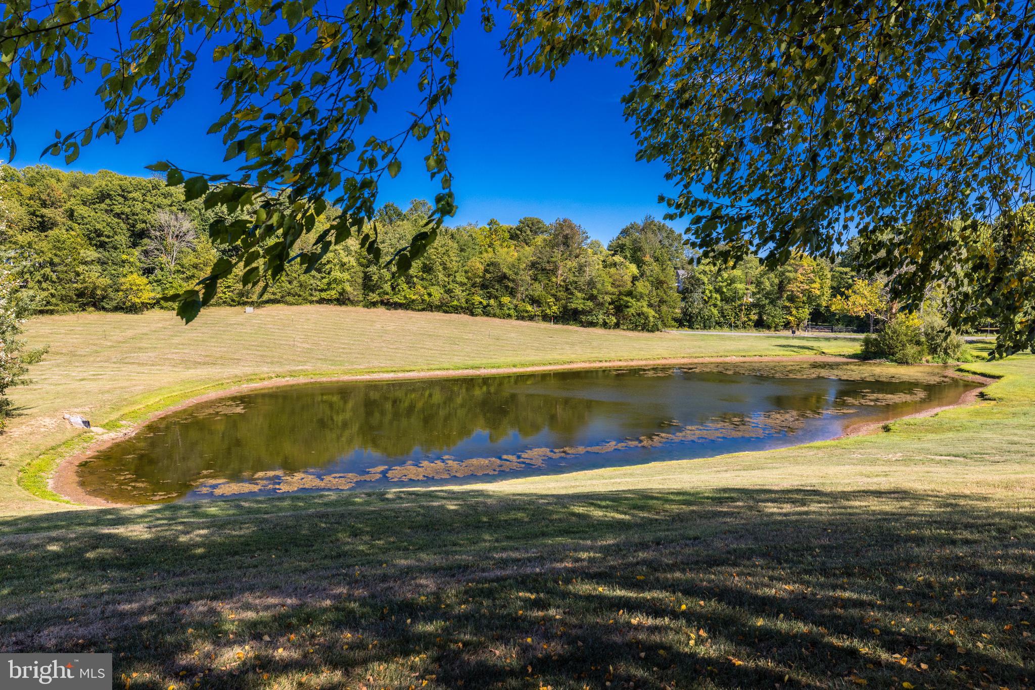 BARCLAY RIDGE - Residential