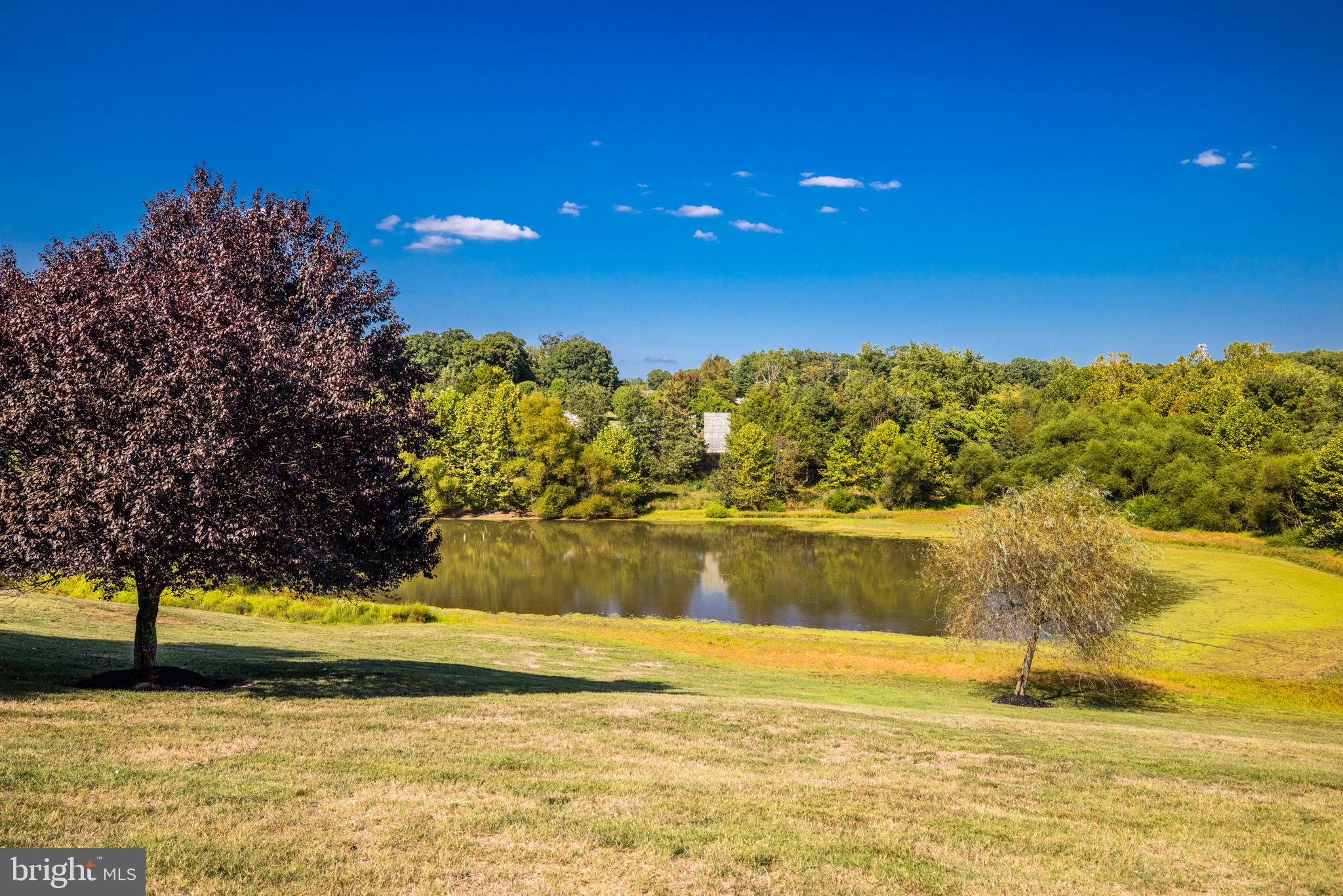 BARCLAY RIDGE - Residential