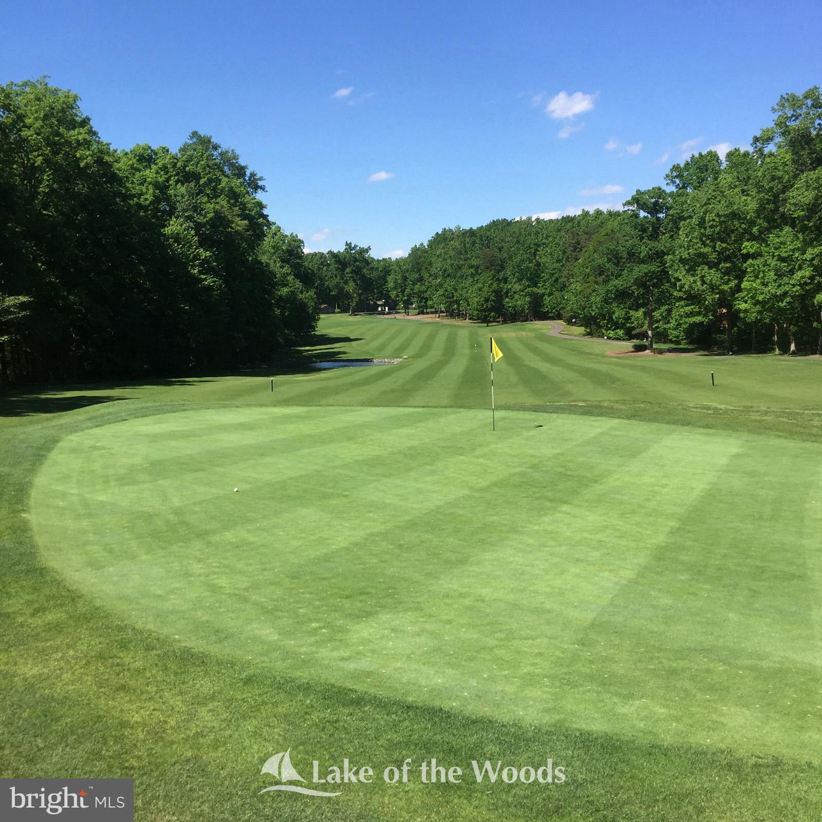 LAKE OF THE WOODS - Residential