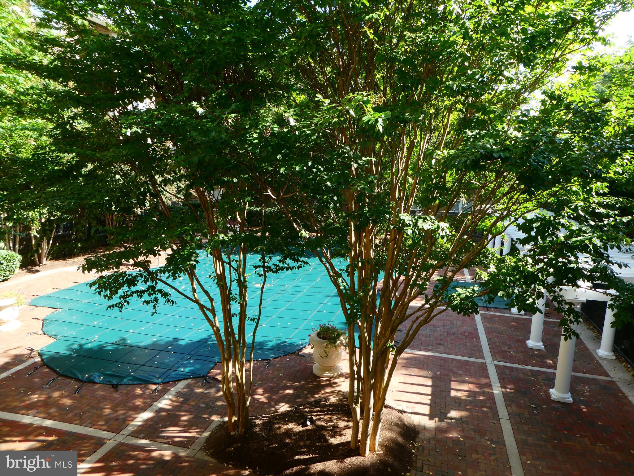 WHITE FLINT STATION - Residential Lease