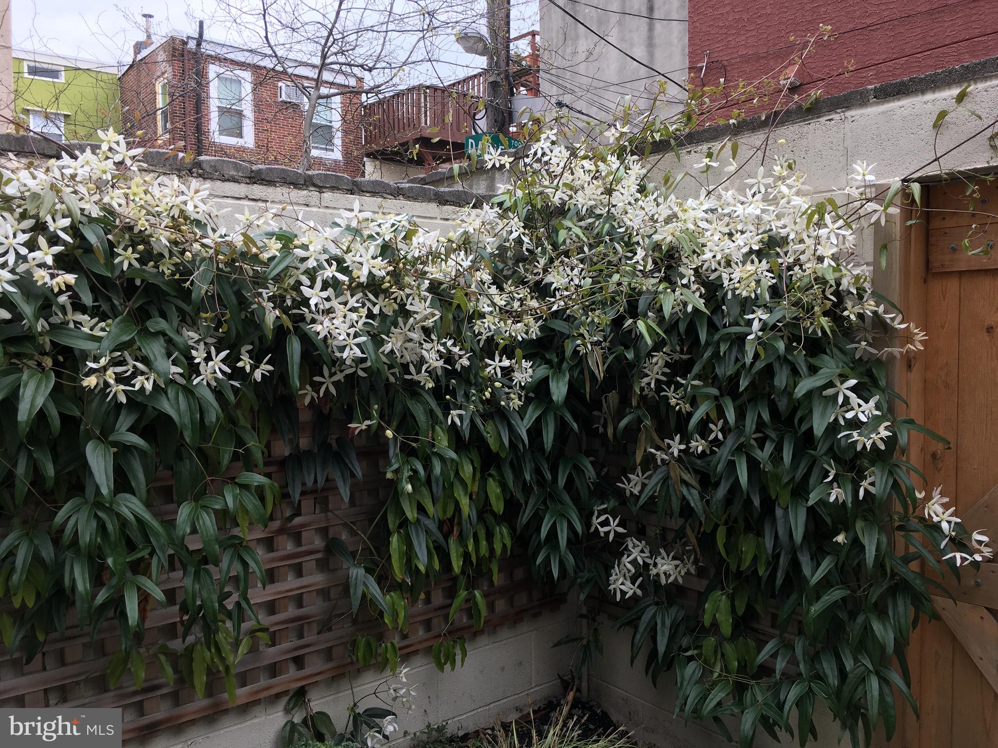 BELLA VISTA - Residential