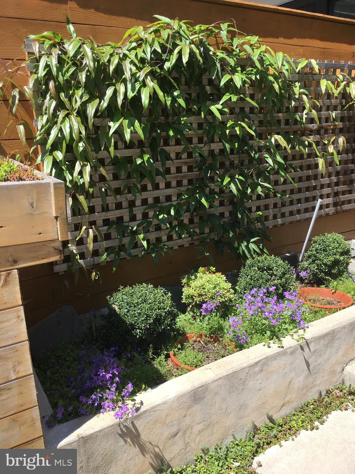 BELLA VISTA - Residential