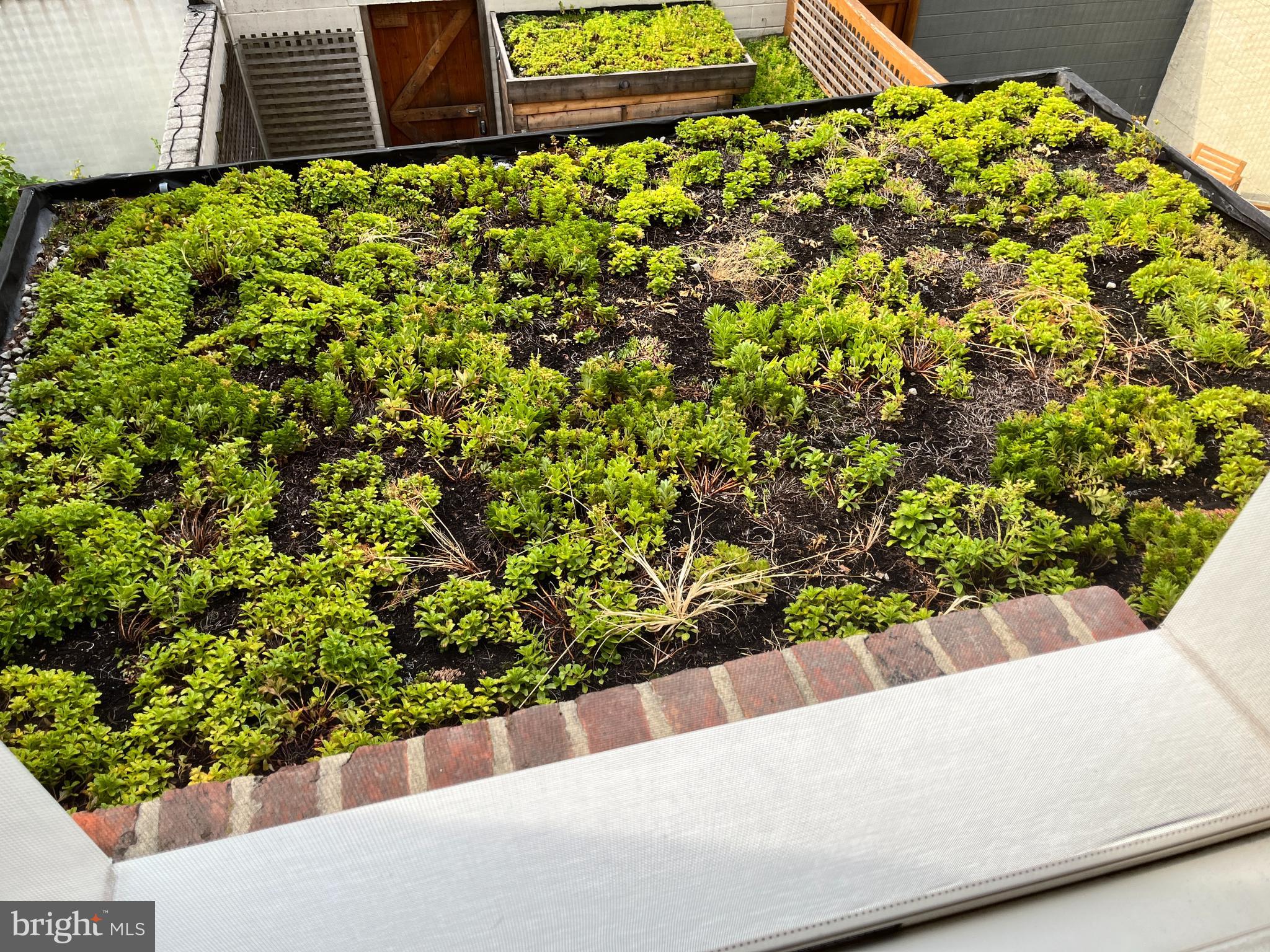 BELLA VISTA - Residential