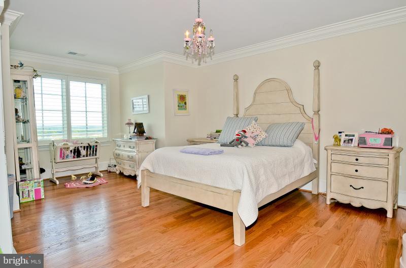 HISTORIC SELMA ESTATES - Residential