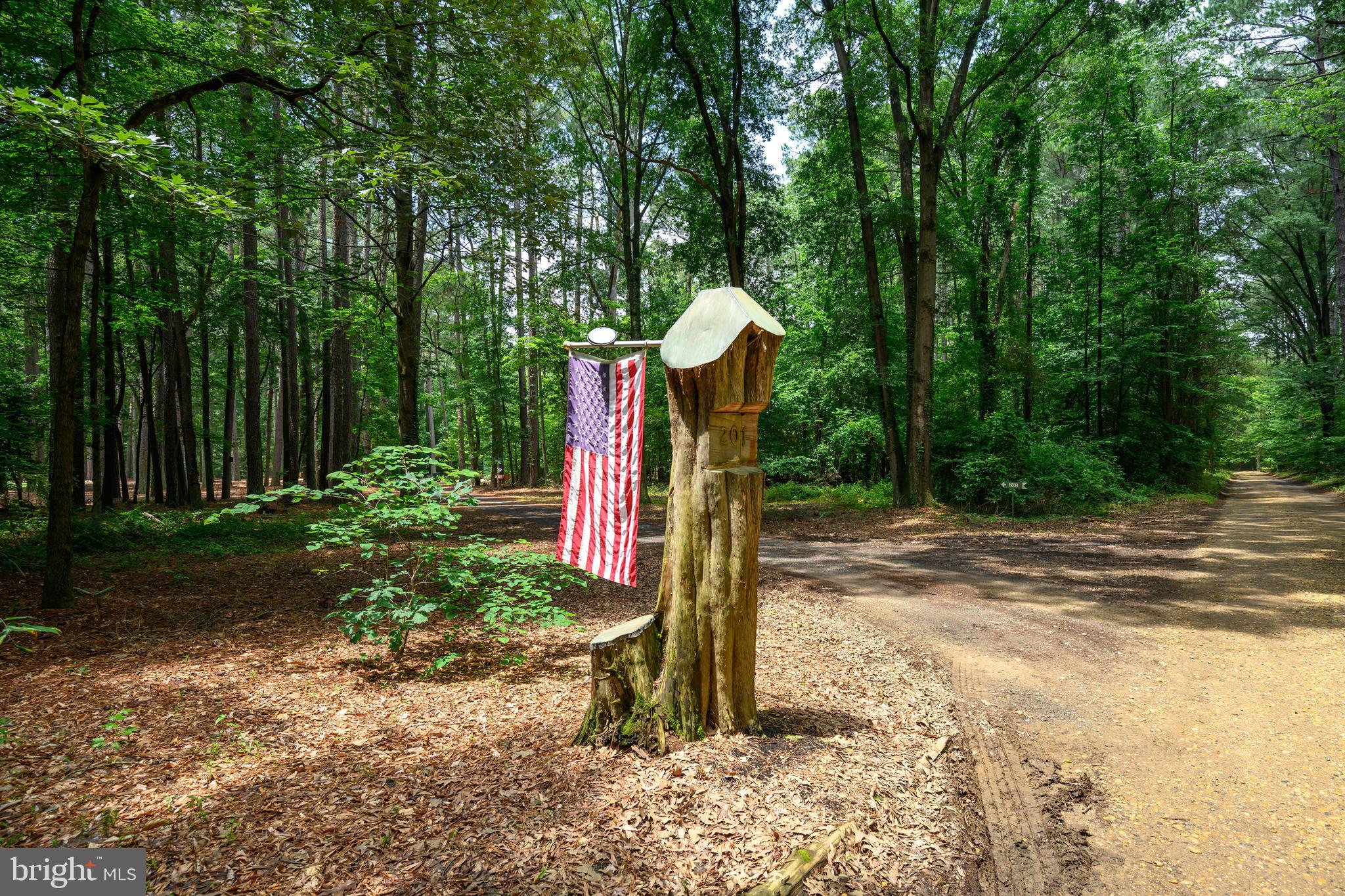 201 DOGWOOD LODGE LANE