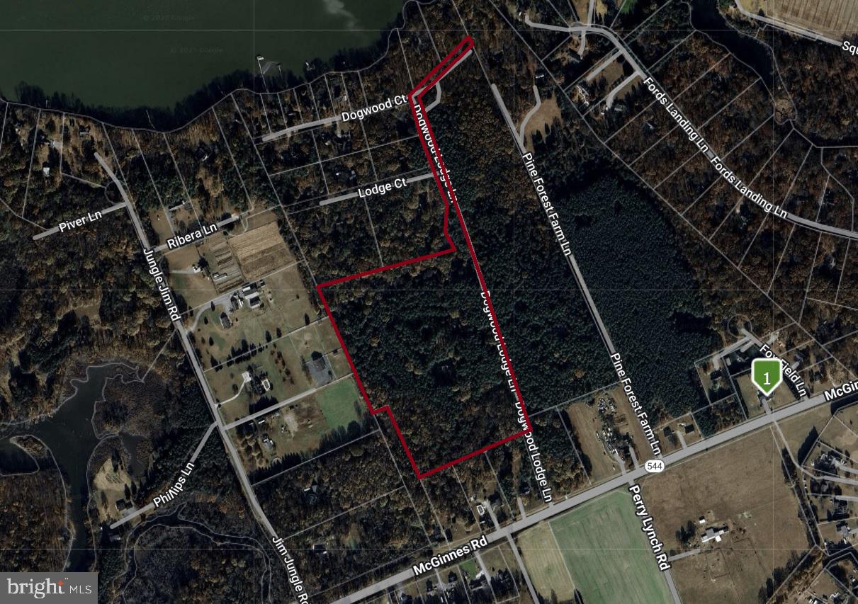 201 DOGWOOD LODGE LANE