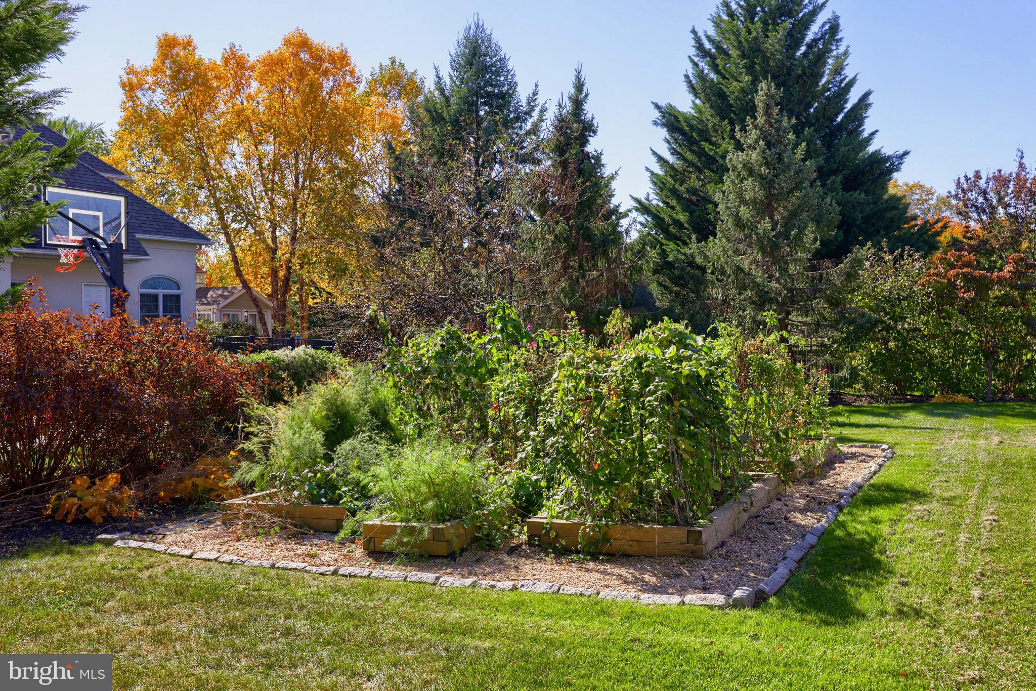 LAUREL POND NORTH - Residential