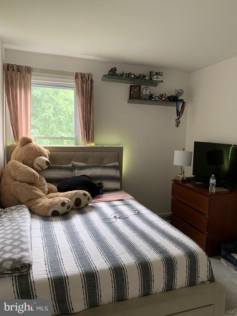 WATERFORD PARK - Residential