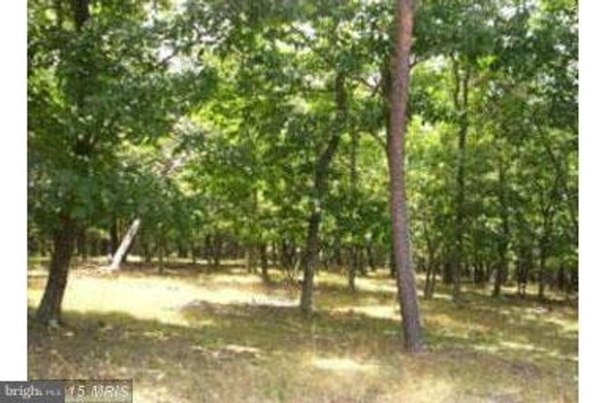 Wooded lot w/ mountain views. Build a chalet w/ a wall of windows facing the mountain & forget the rest of the world exists. Perc on file. Offers access to the four acre community park lot with BBQ pits, picnic tables, bathroom facilities, & access to the ever flowing Cacapon River to enjoy fishing, swimming, canoeing, or maybe just float on the river. Owner Financing available up to 30 yr term.