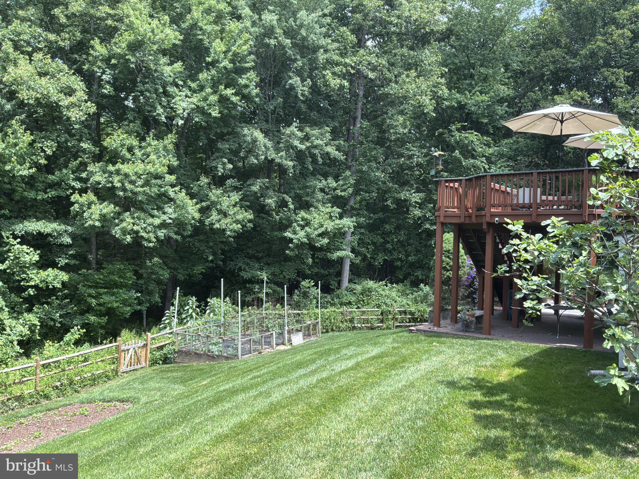 1501 JUDD COURT