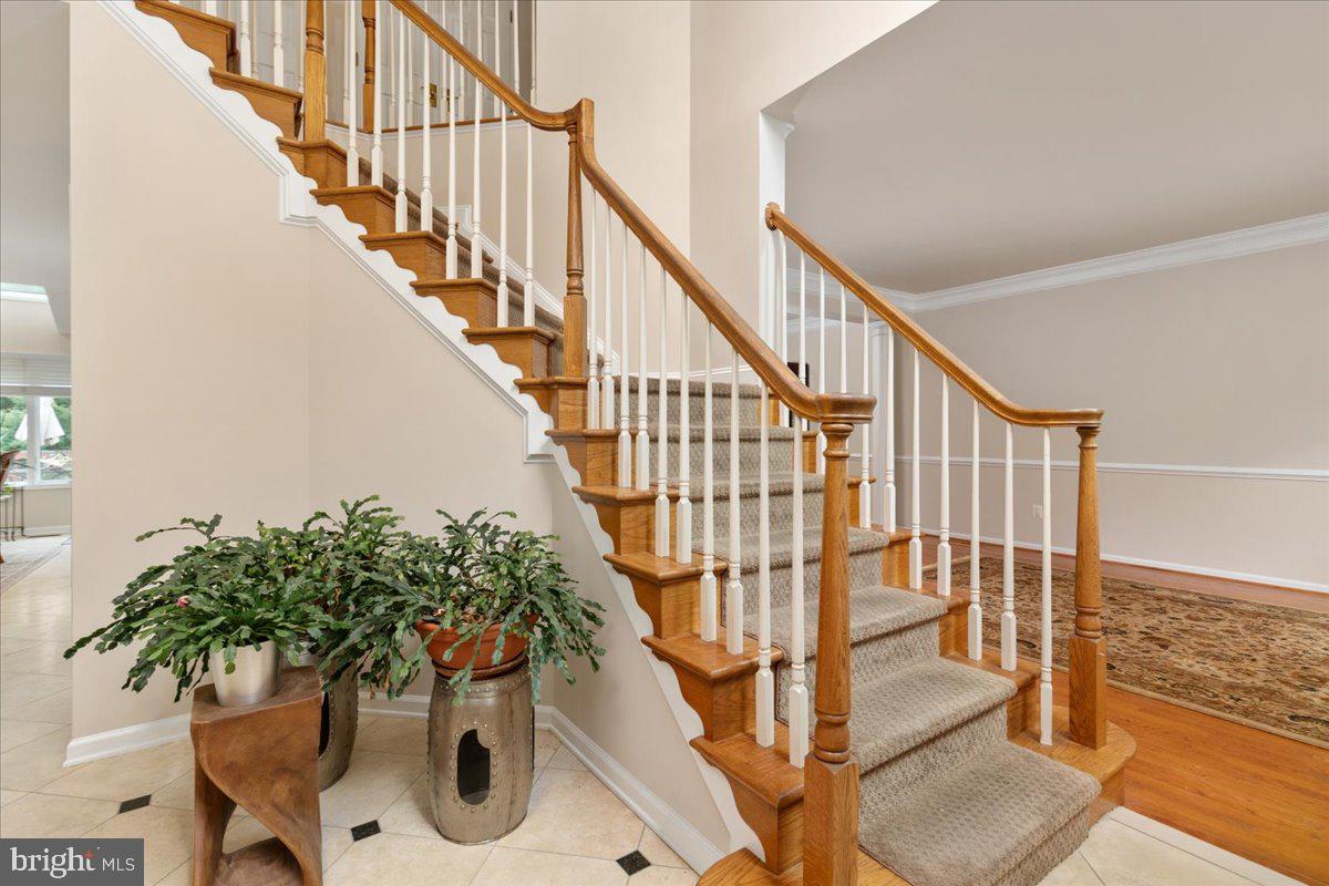 1501 JUDD COURT