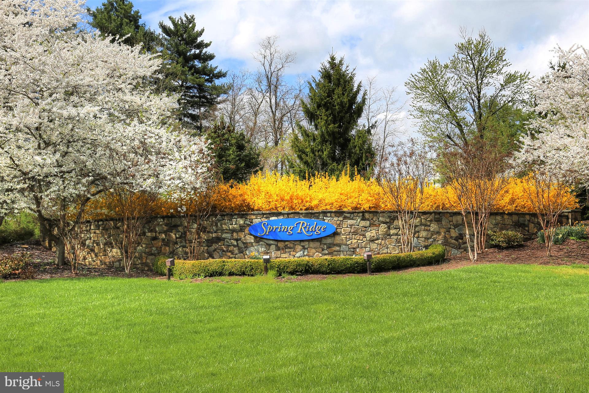 SPRING RIDGE - Residential