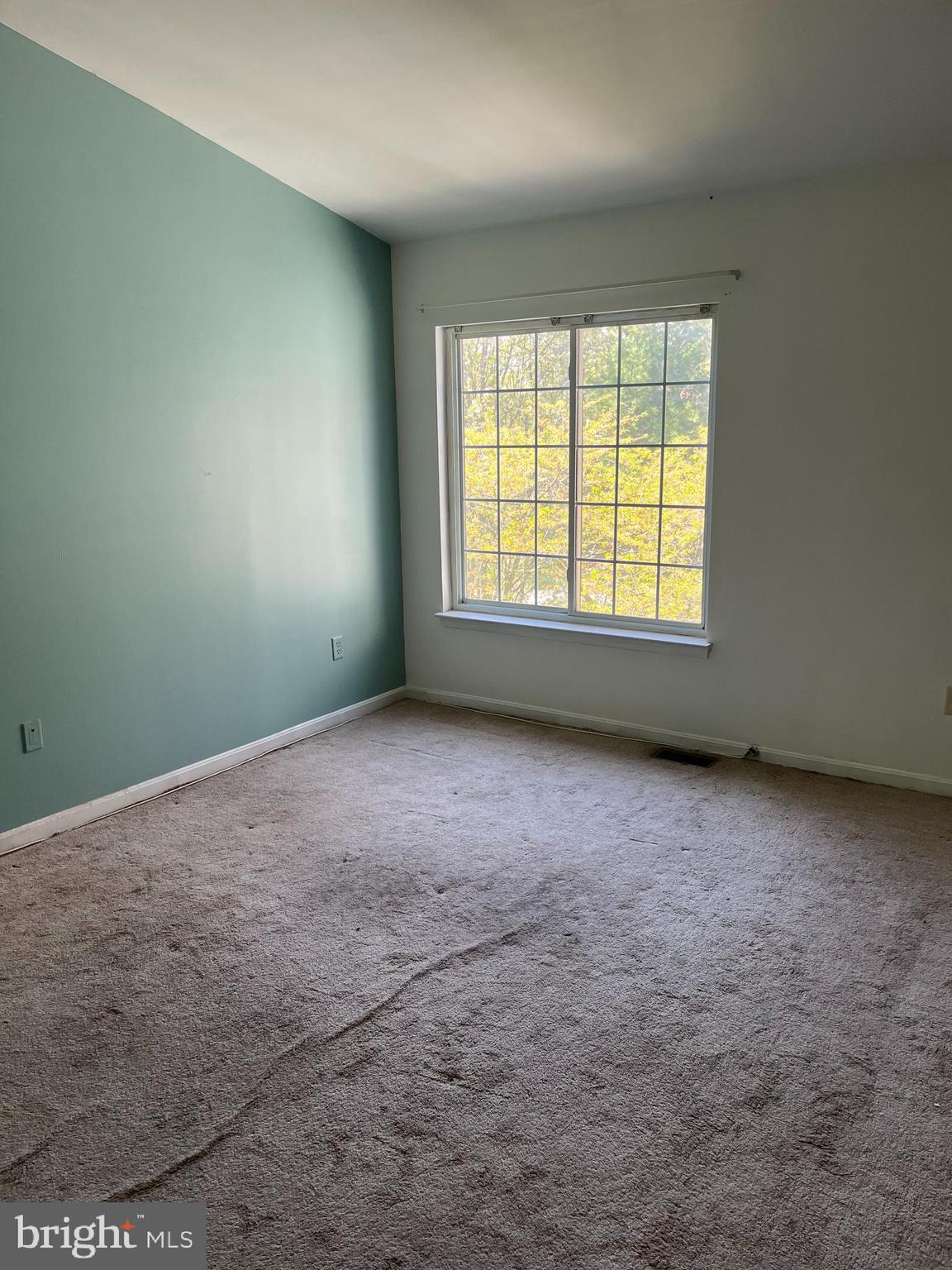 SNOWDEN RIDGE - Residential