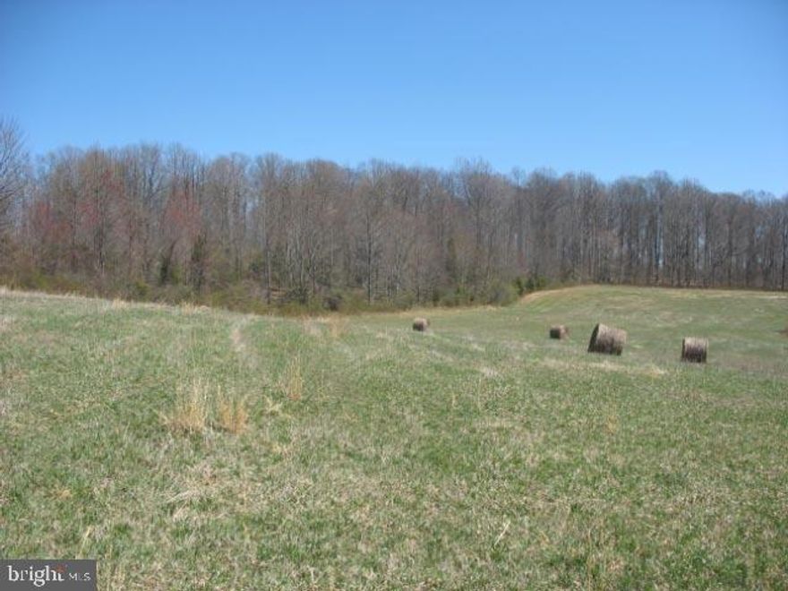 Rare opportunity to find such a large parcel of land offering something for everyone.  147+/- acres of land of which 70+/- are tillable.  There are a total of 6 parcels.  Beautiful stream, sylvan wooded settings. Endless possibilities.  Tax ID's: 69-09-0024.0100,69-09-0031,68-07-0001,68-07-0002,68-07-0004,68-07-0005