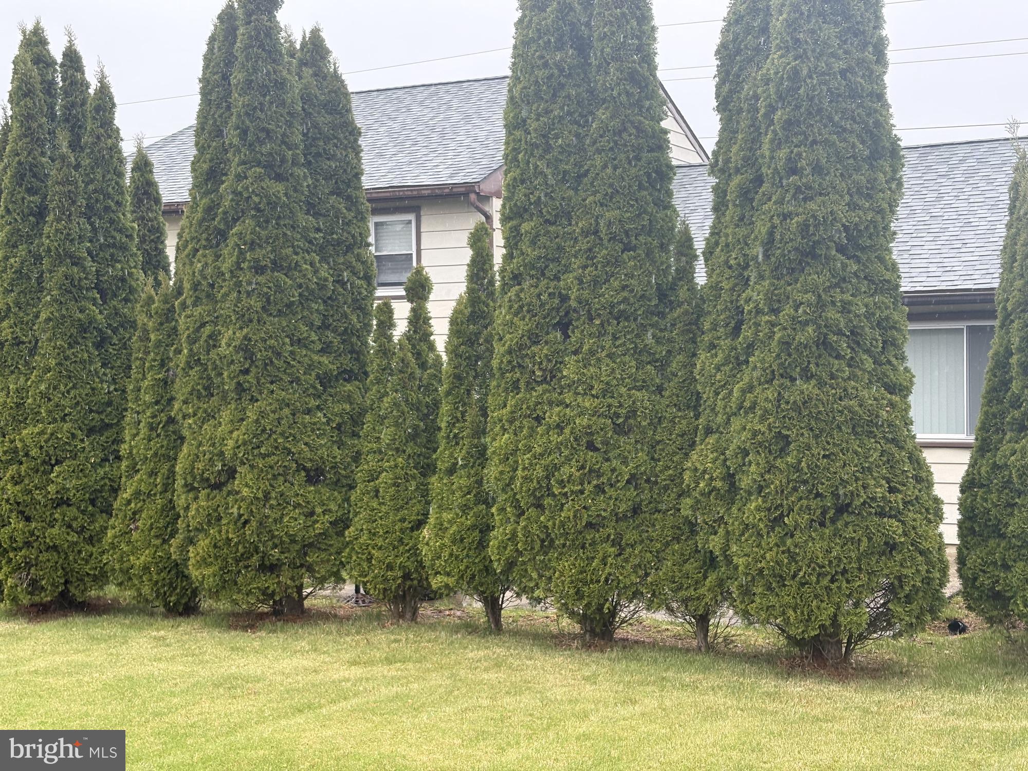 WILLOW FARMS - Residential