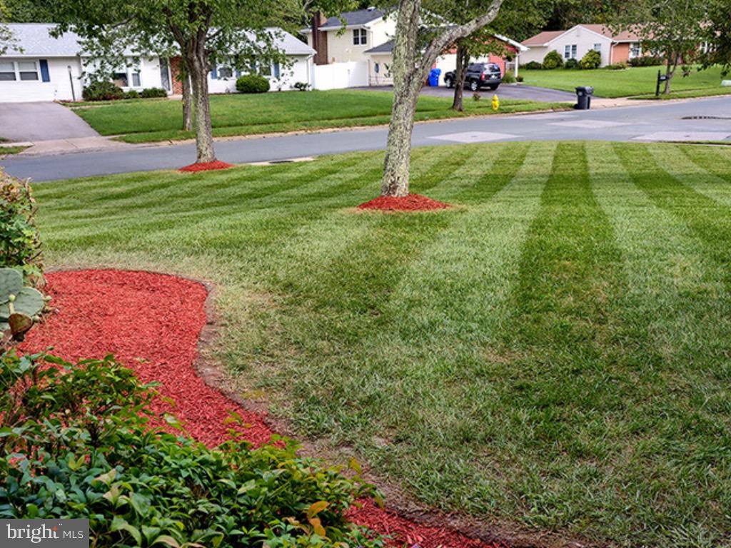 PINEFIELD - Residential