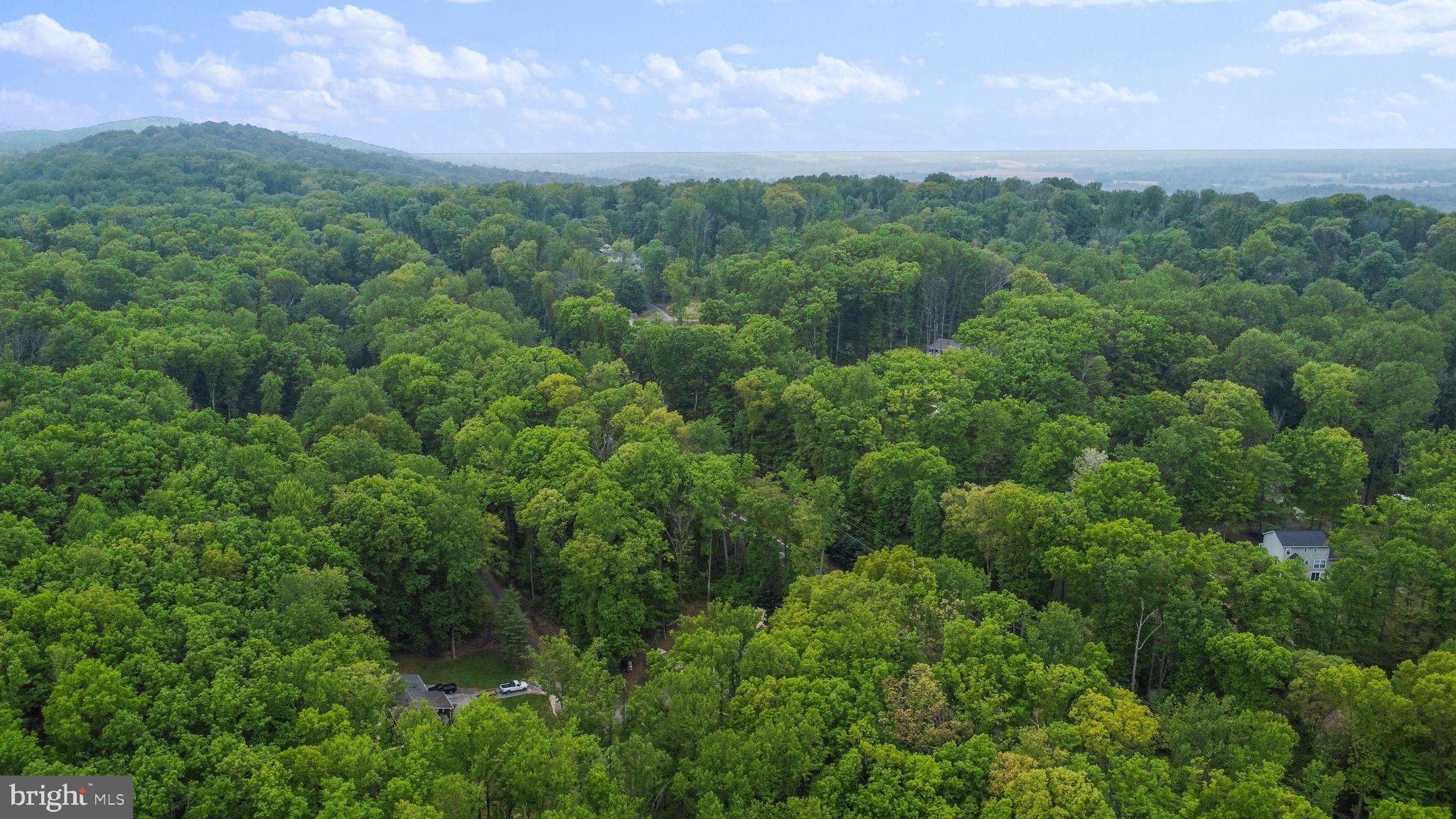 SHANNONDALE - Residential