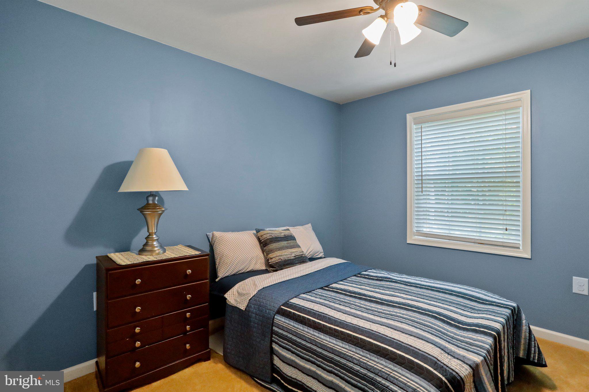 SHANNONDALE - Residential