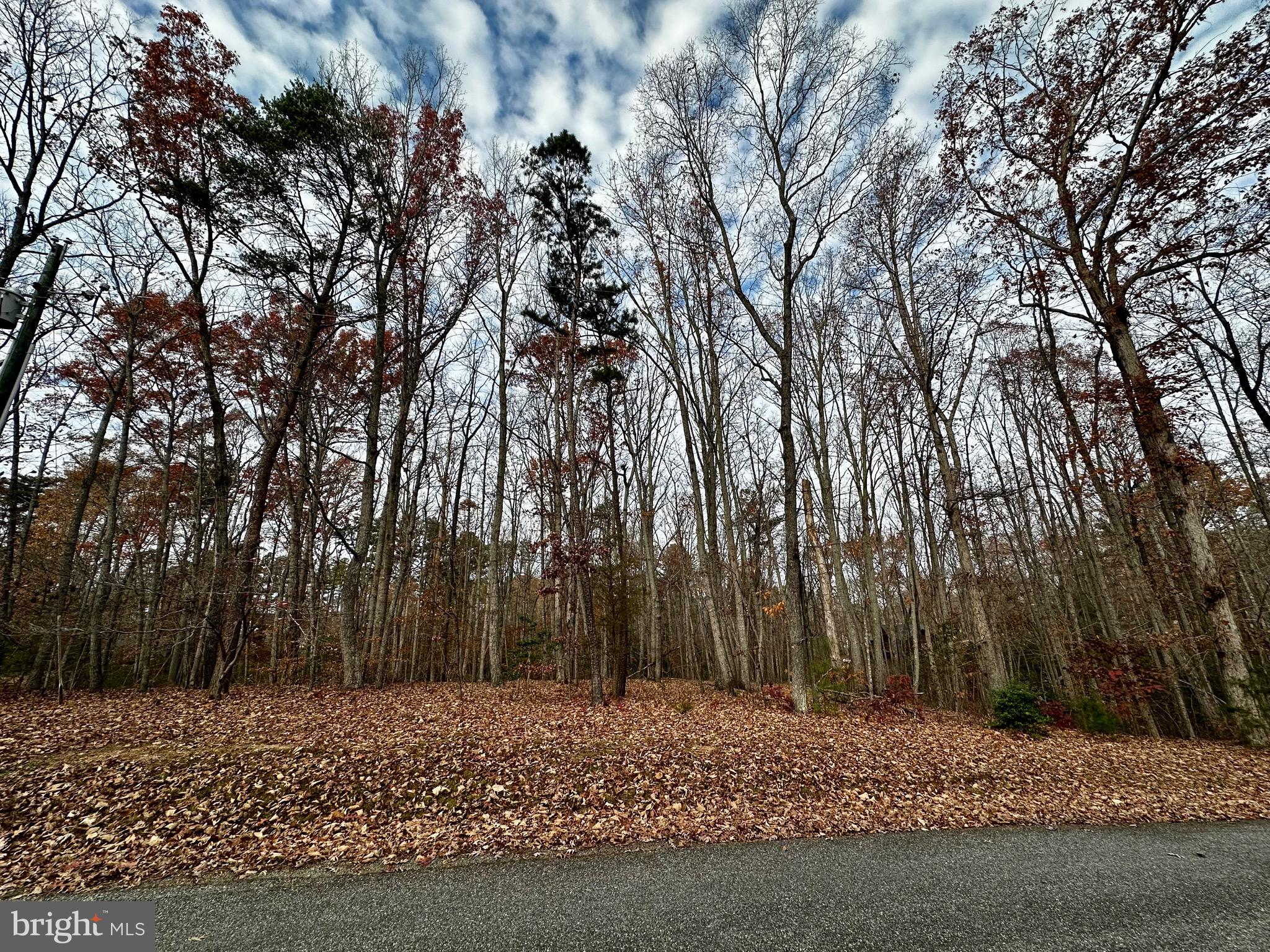 PINE HARBOUR - Land
