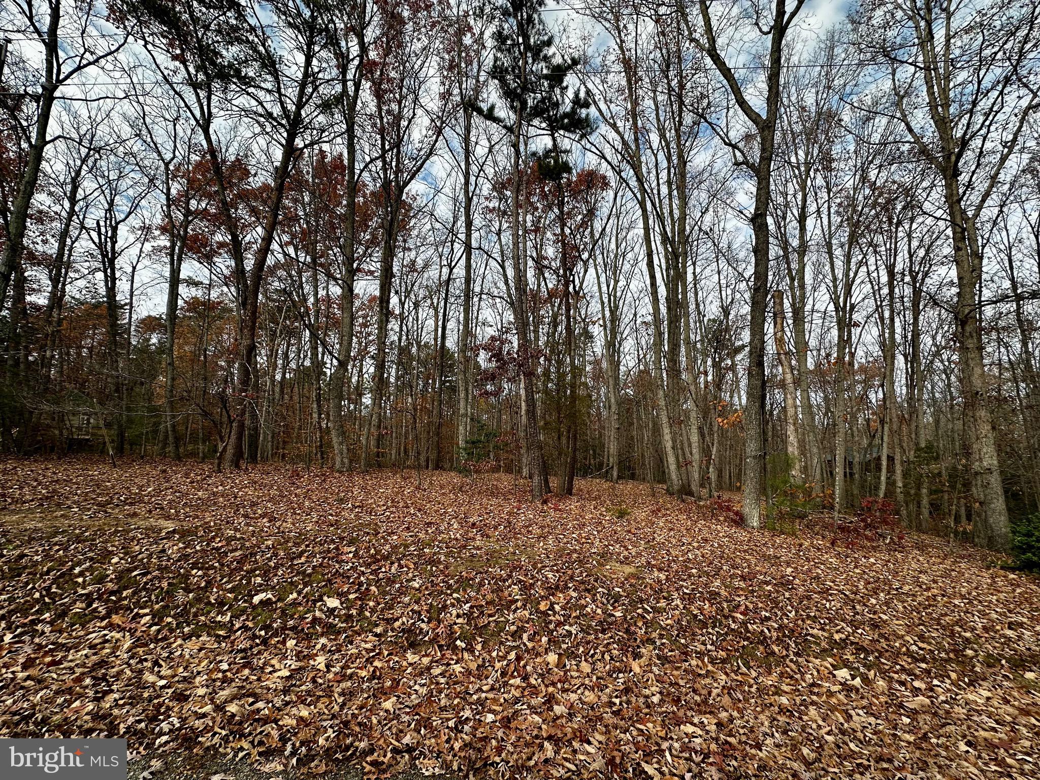 PINE HARBOUR - Land