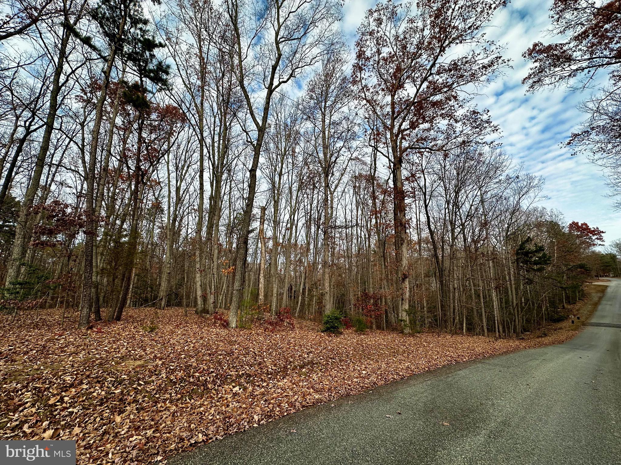 PINE HARBOUR - Land