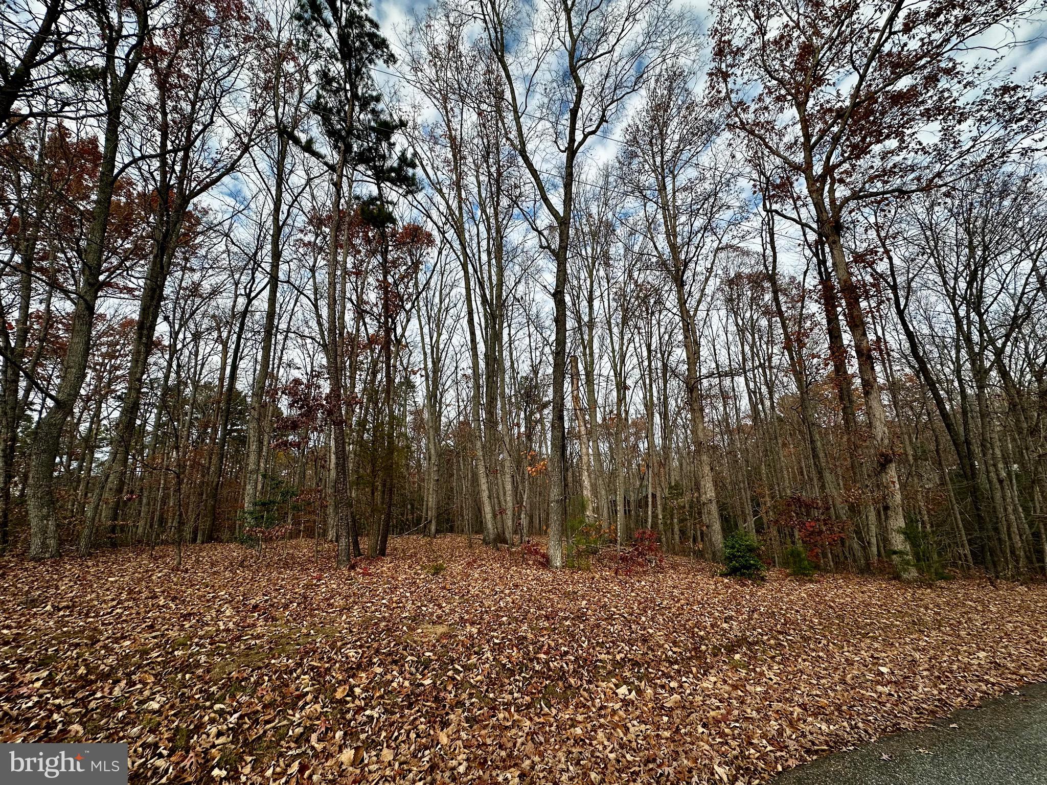 PINE HARBOUR - Land