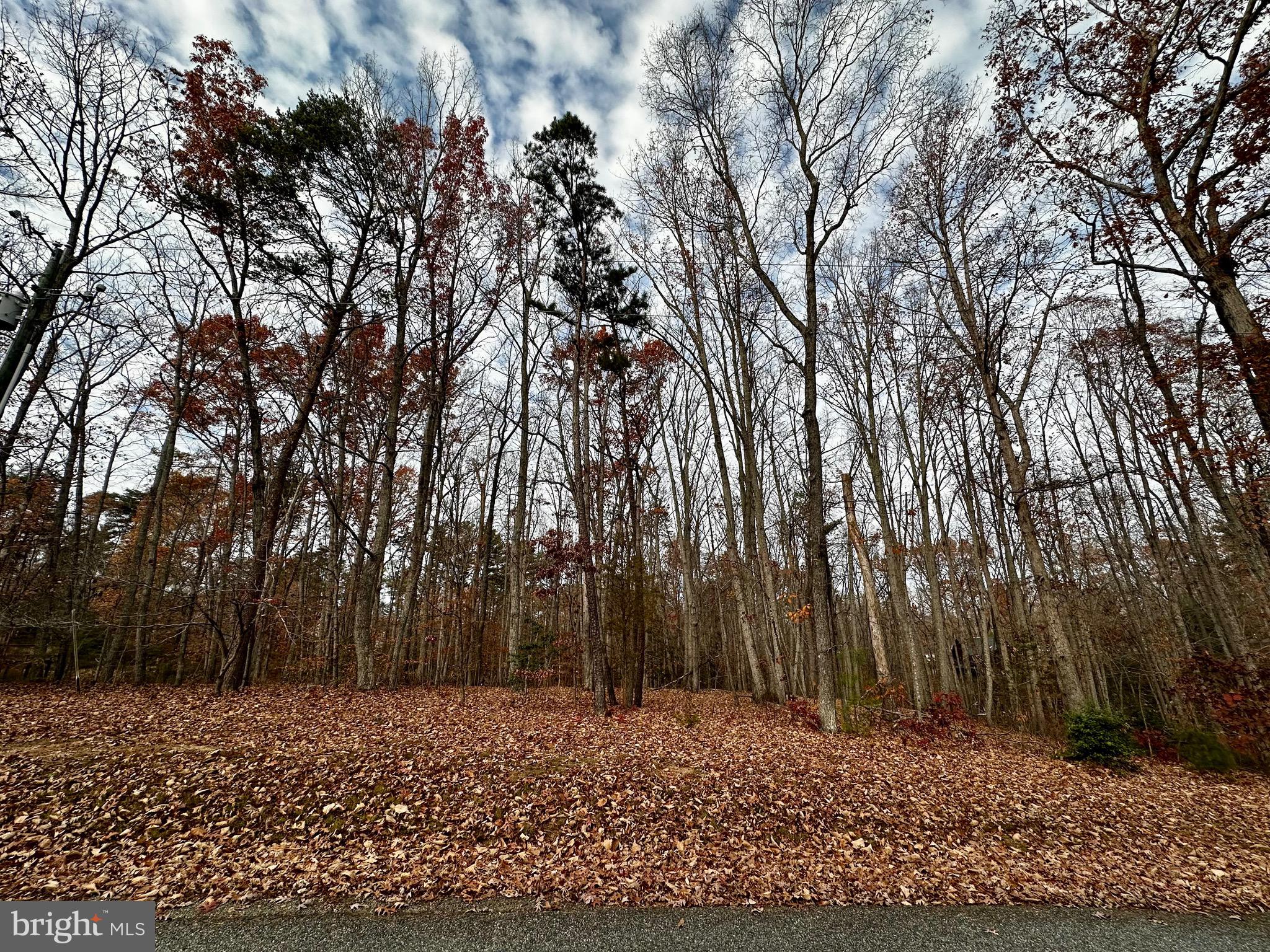 PINE HARBOUR - Land